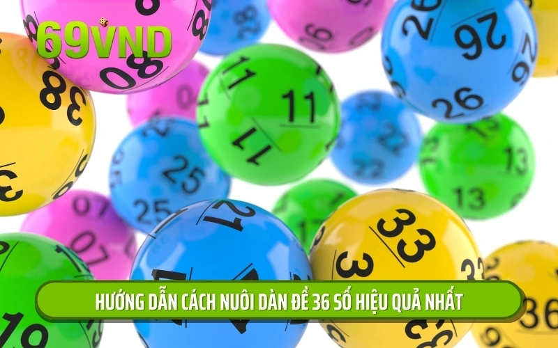 Hướng dẫn cách nuôi dàn đề 36 số hiệu quả nhất