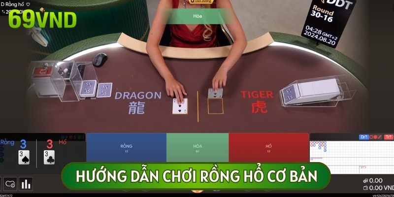 Quy tắc chơi Dragon Tiger cơ bản cho người mới