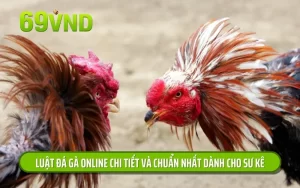 Luật đá gà online