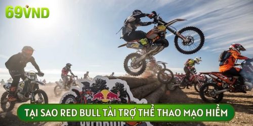 (Giải Đáp): Tại Sao Red Bull Tài Trợ Thể Thao Mạo Hiểm?