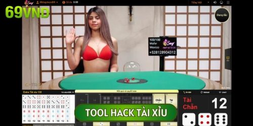 Tool Hack Tài Xỉu: Công Cụ Hỗ Trợ Đắc Lực Của Dân Trong Nghề